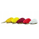 Nstraha LK Baits CUC! Nugget 2mm, 600g