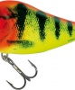 Wobler Salmo Slider 6 - Clown Yellow Perch Sinking