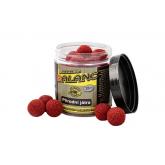 Boilies Balanc Vclavk - Prodn jtra