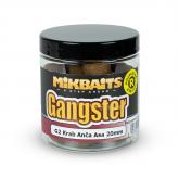 Rozpustn boilie Mikbaits Gangster 250ml - G2 Krab Anovika Asa 20mm