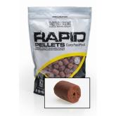 Pelety Rapid Extreme - Spiced Protein